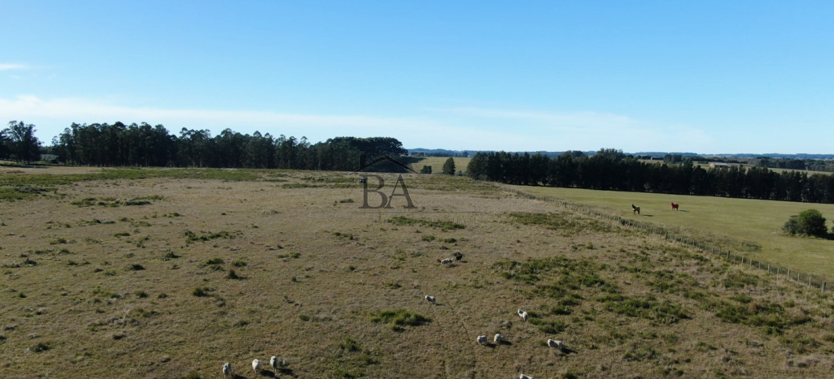 Campo Ref.4 - Campo en Venta de 31 Hectáreas Próximo a Garzón y José Ignacio   