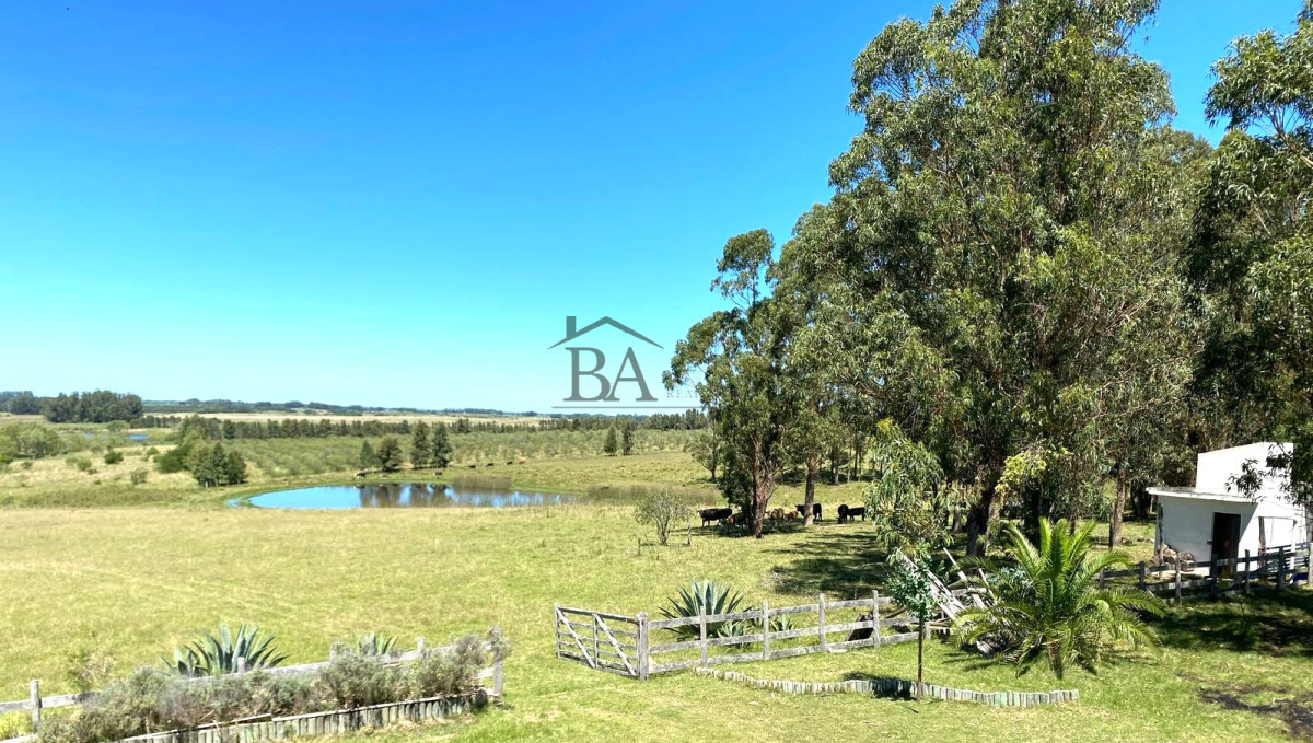 Campo Ref.4 - Campo en Venta de 31 Hectáreas Próximo a Garzón y José Ignacio   