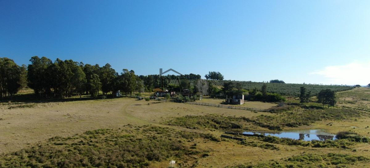 Campo Ref.4 - Campo en Venta de 31 Hectáreas Próximo a Garzón y José Ignacio   