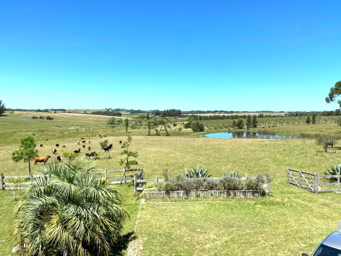 Campo Ref.4 - Campo en Venta de 31 Hectáreas Próximo a Garzón y José Ignacio   