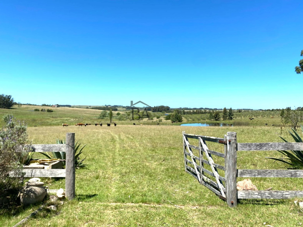 Campo Ref.4 - Campo en Venta de 31 Hectáreas Próximo a Garzón y José Ignacio   