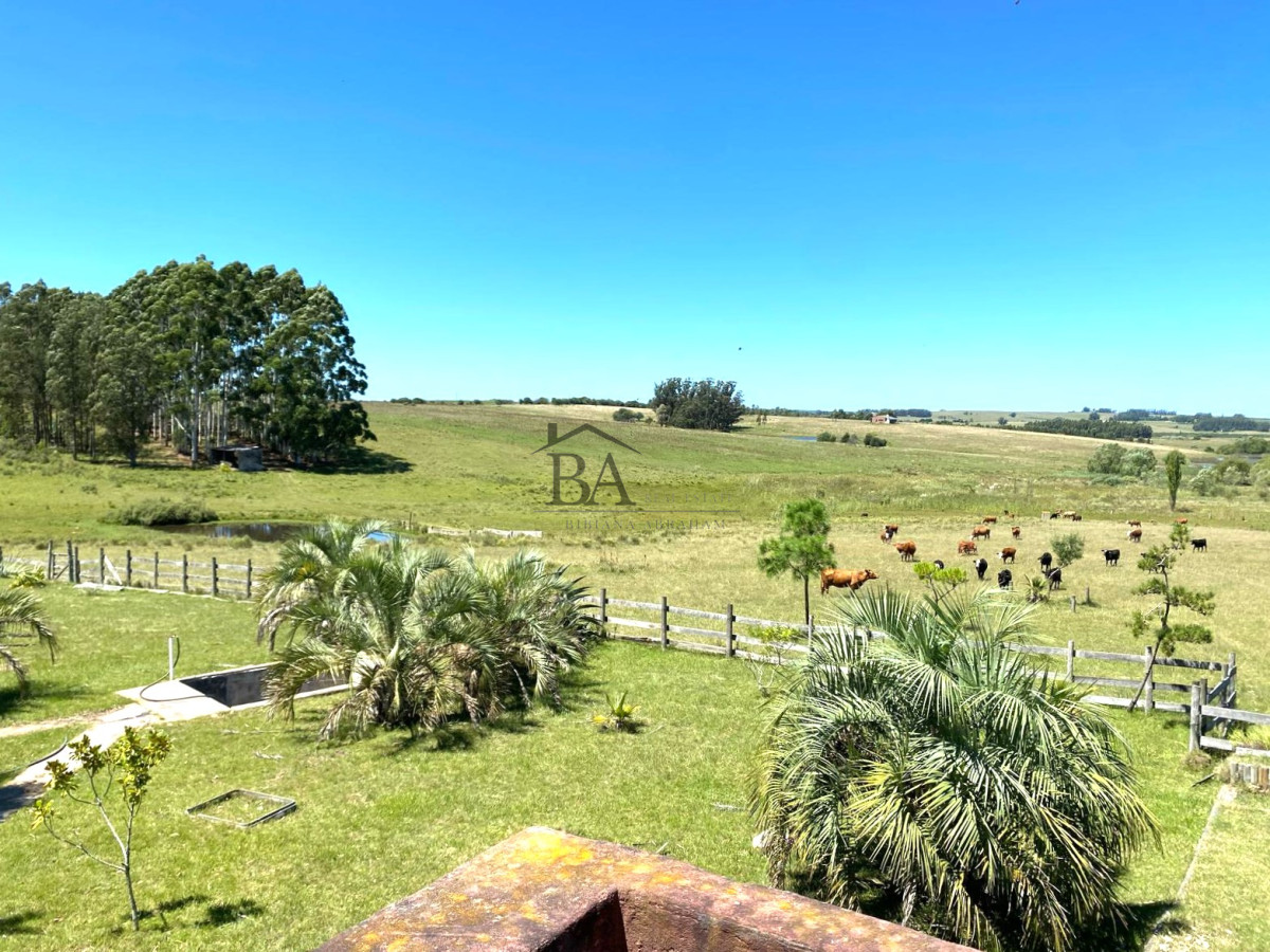 Campo Ref.4 - Campo en Venta de 31 Hectáreas Próximo a Garzón y José Ignacio   