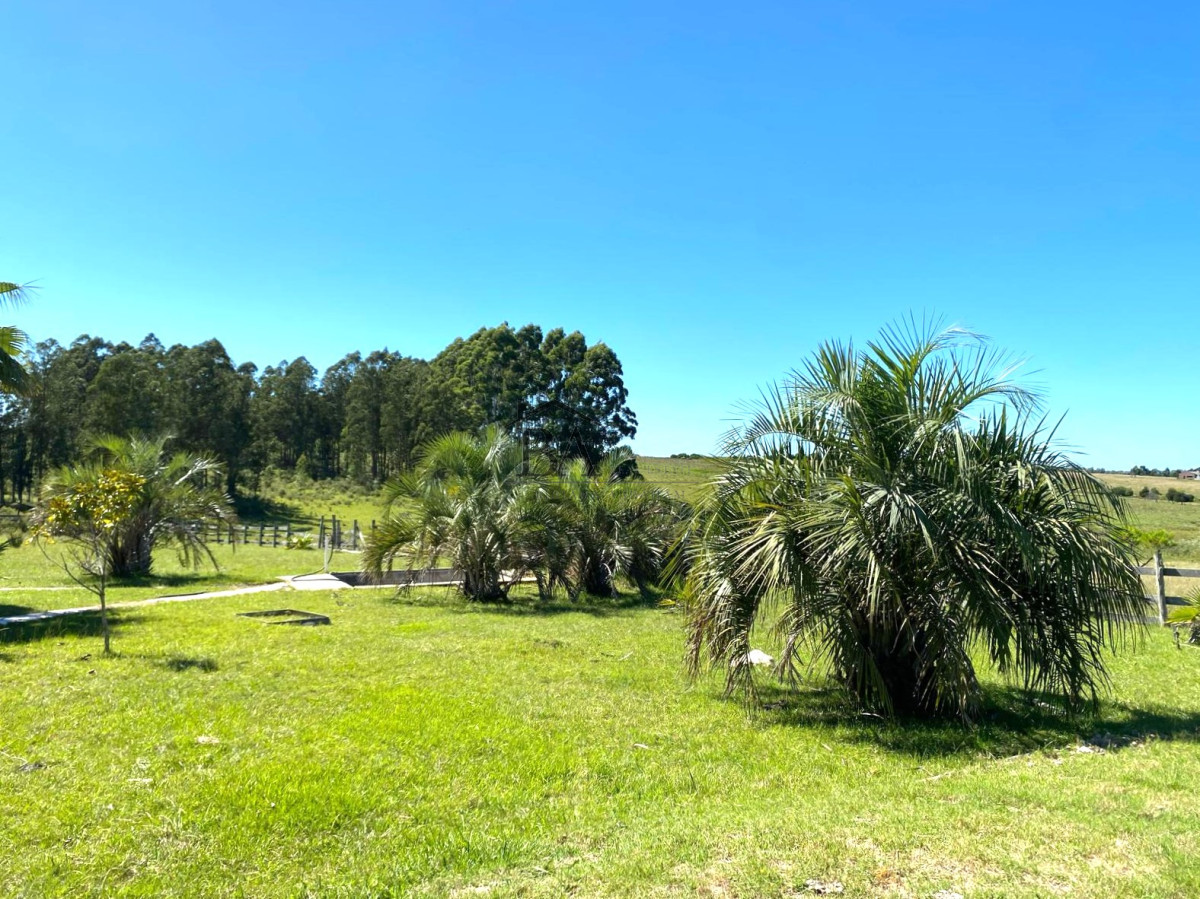 Campo Ref.4 - Campo en Venta de 31 Hectáreas Próximo a Garzón y José Ignacio   