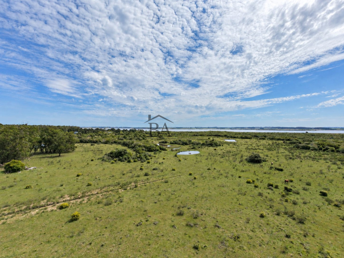 Campo Ref.184 - Campo en Venta 43H con Costa a la Laguna Garzón 