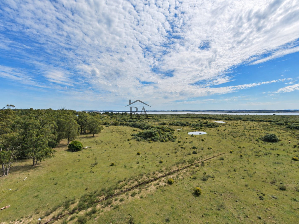 Campo Ref.184 - Campo en Venta 43H con Costa a la Laguna Garzón 