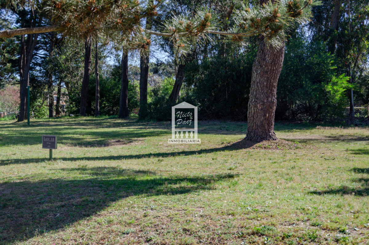 Residencias Veramansa - Lote 17
