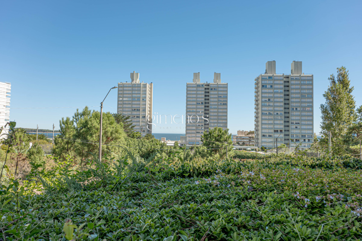 Apartamento ID.1141 - Apartamento en Venta 3 Dormitorios - Patio y Prrillero de uso exclusivo - Punta del Este - Playa Mansa