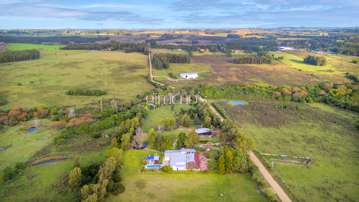 Chacra ID.83 - Chacra en Venta en Maldonado - San Carlos - ideal inversión comercial