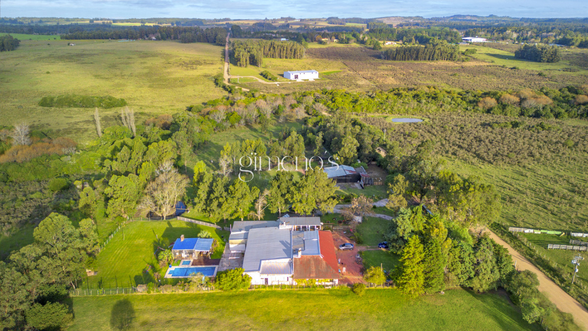 Chacra ID.83 - Chacra en Venta en Maldonado - San Carlos - ideal inversión comercial