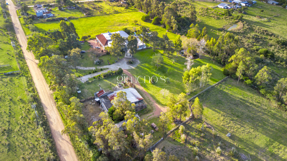 Chacra ID.83 - Chacra en Venta en Maldonado - San Carlos - ideal inversión comercial