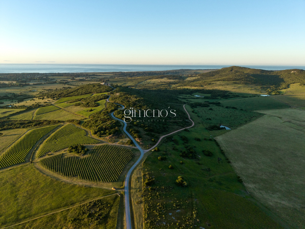 Chacra ID.1174 - Agreste Punta Negra - Exclusivo Club de Campo y Mar | Lotes Premium
