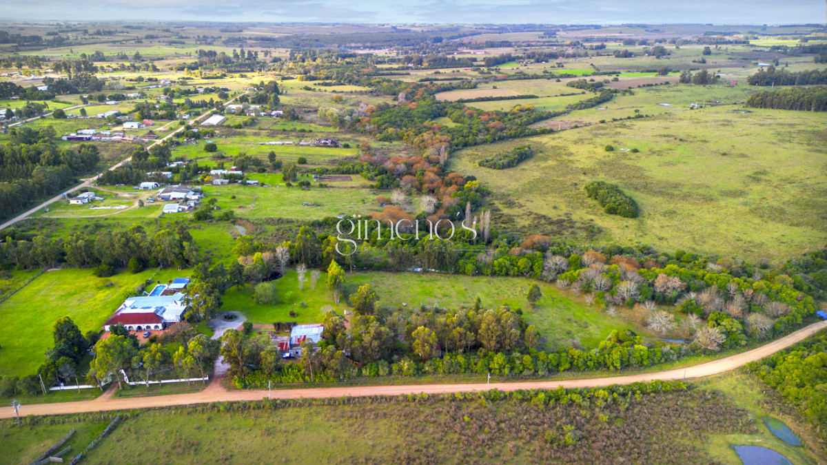 Chacra ID.83 - Chacra en Venta en Maldonado - San Carlos - ideal inversión comercial