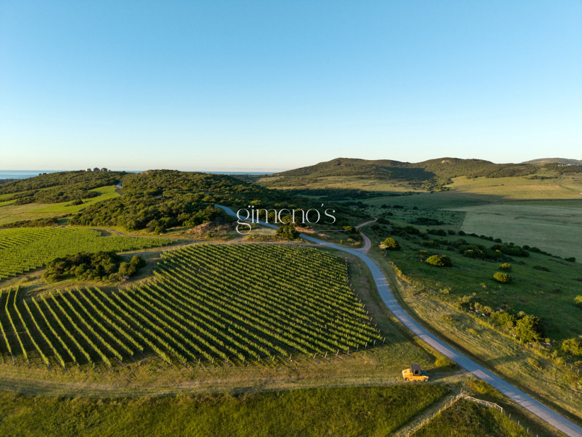 Chacra ID.1174 - Agreste Punta Negra - Exclusivo Club de Campo y Mar | Lotes Premium