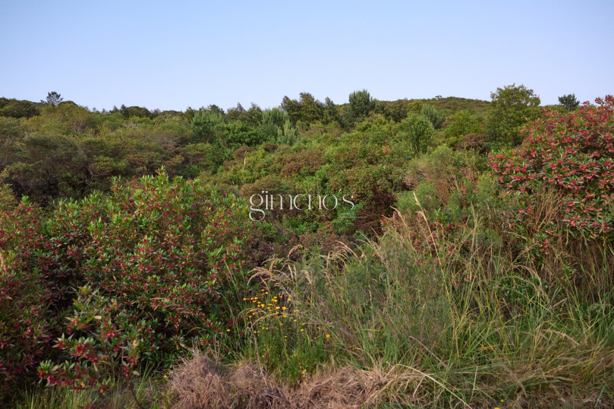 Chacra ID.1174 - Agreste Punta Negra - Exclusivo Club de Campo y Mar | Lotes Premium