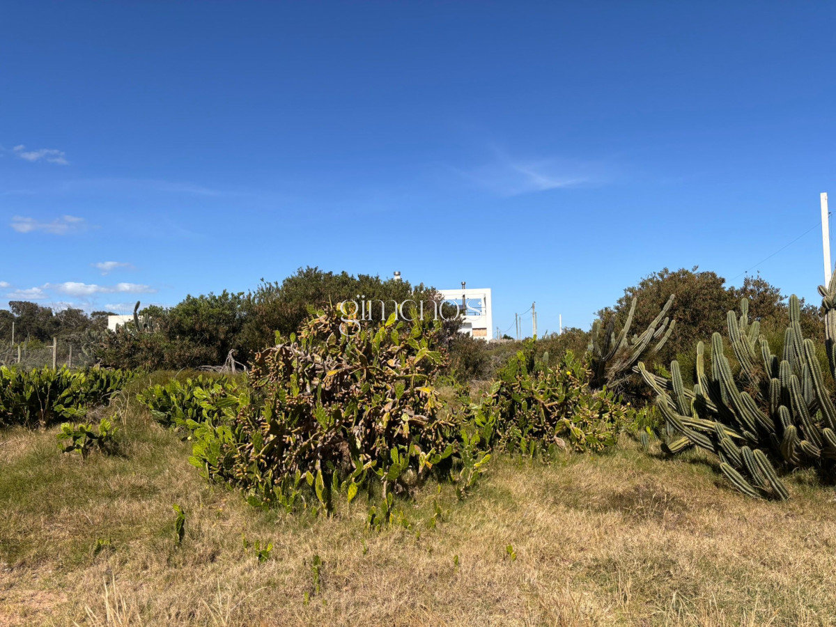 Terreno ID.644 - Terreno en Venta en - Sauce de Portezuelo - Punta del Este 