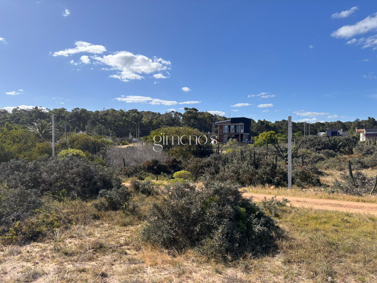 Terreno ID.644 - Terreno en Venta en - Sauce de Portezuelo - Punta del Este 
