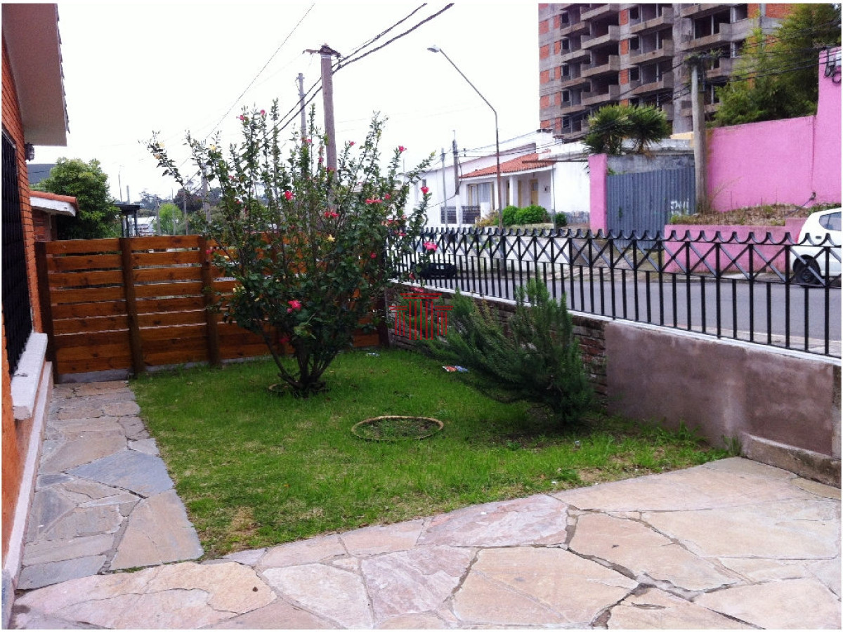 Casa ID.11968 - Casa en Maldonado , centro con renta 