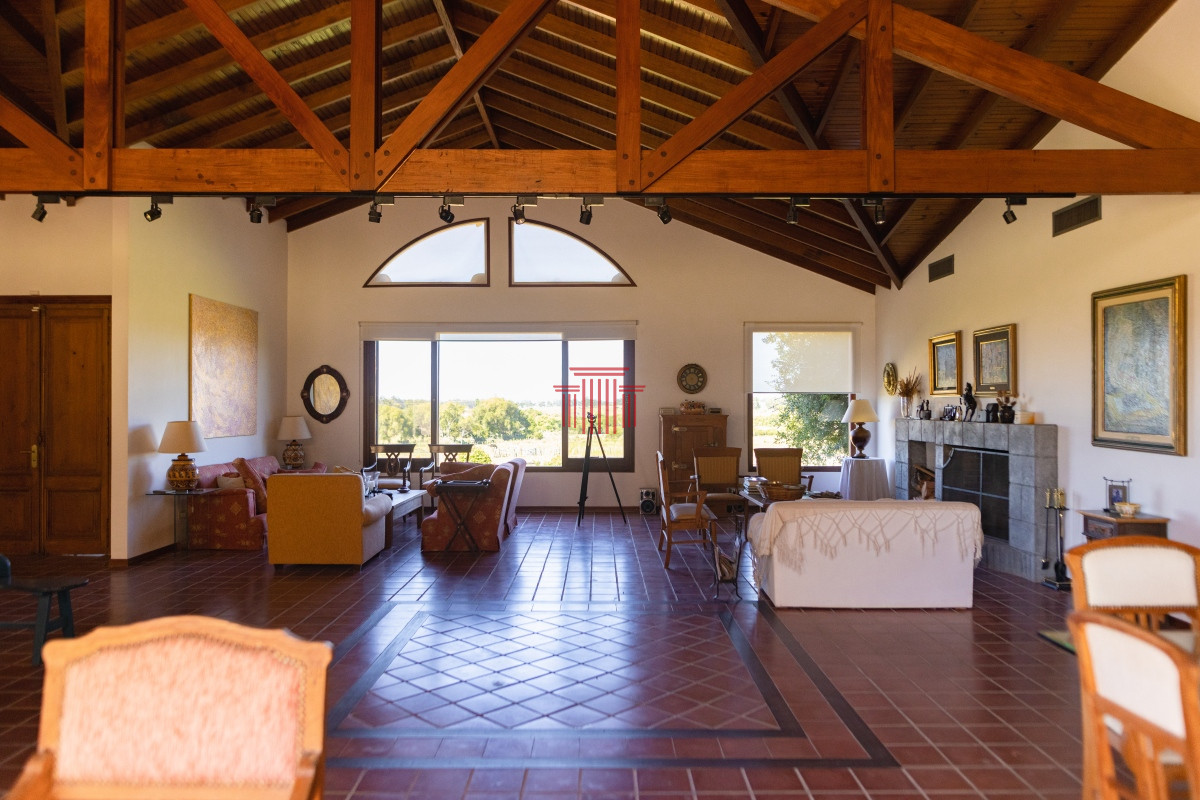 Chacra ID.13964 - Chacra en venta, Punta del Este, La Pataia 