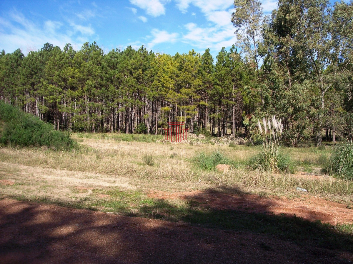 Chacra ID.12631 - Chacra en Punta Ballena ,  Laguna del Diario 