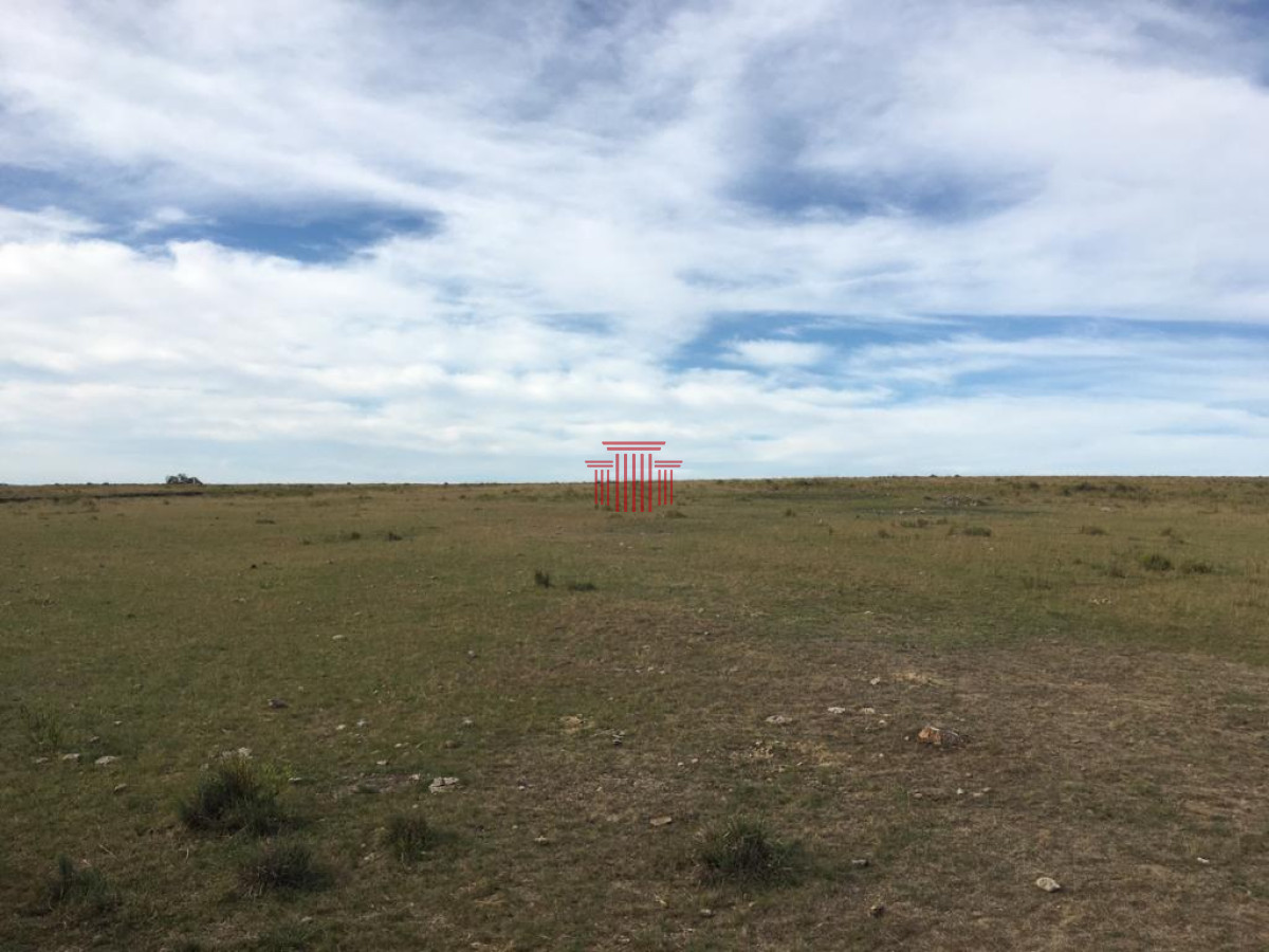 Chacra ID.13876 - Chacra en venta Maldonado