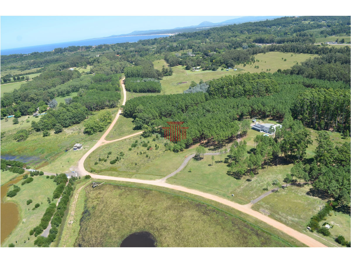 Chacra ID.12626 - Chacra en Punta Ballena 