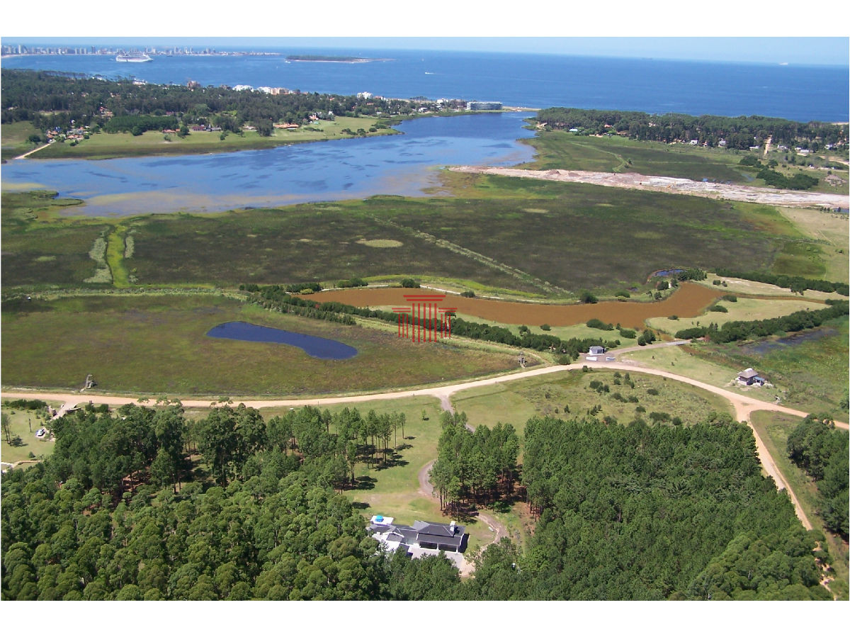 Chacra ID.12631 - Chacra en Punta Ballena ,  Laguna del Diario 