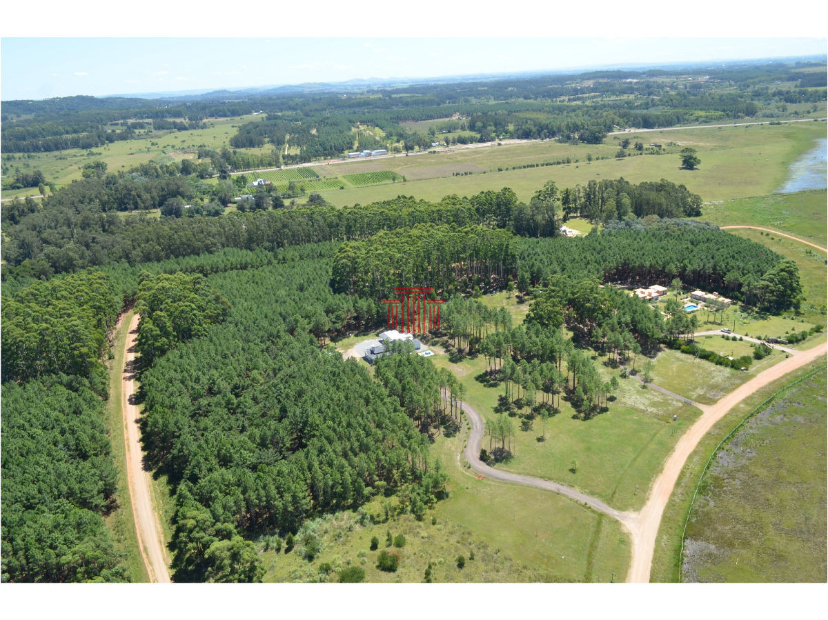 Chacra ID.12631 - Chacra en Punta Ballena ,  Laguna del Diario 