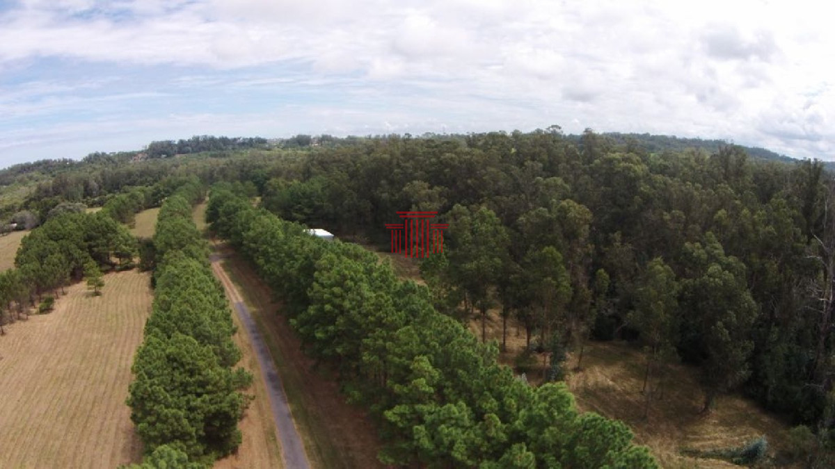 Chacra ID.13163 - Chacra en Punta Ballena. Ideal para desarrollo