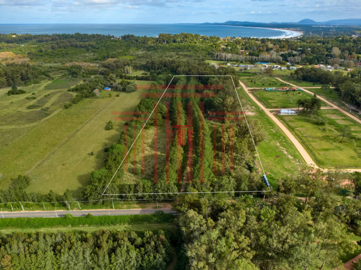 Apartamento ID.13163 - Chacra en Punta Ballena. Ideal para desarrollo