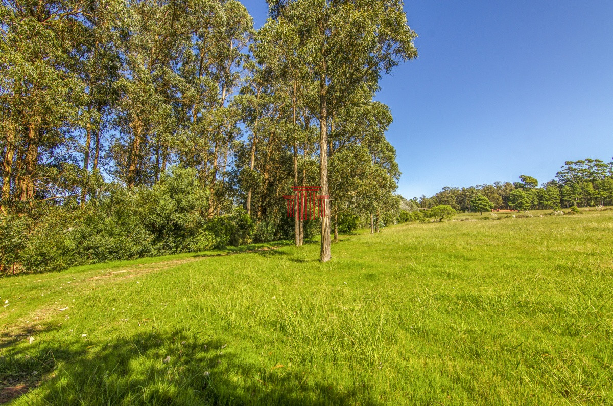 Chacra ID.12622 - venta chacra zona La Pataia punta del este 