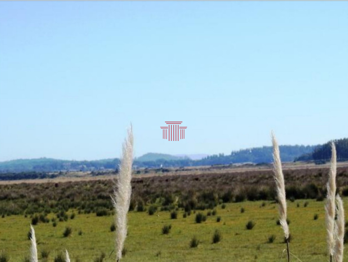 Chacra ID.13989 - Chacra en La Barra 