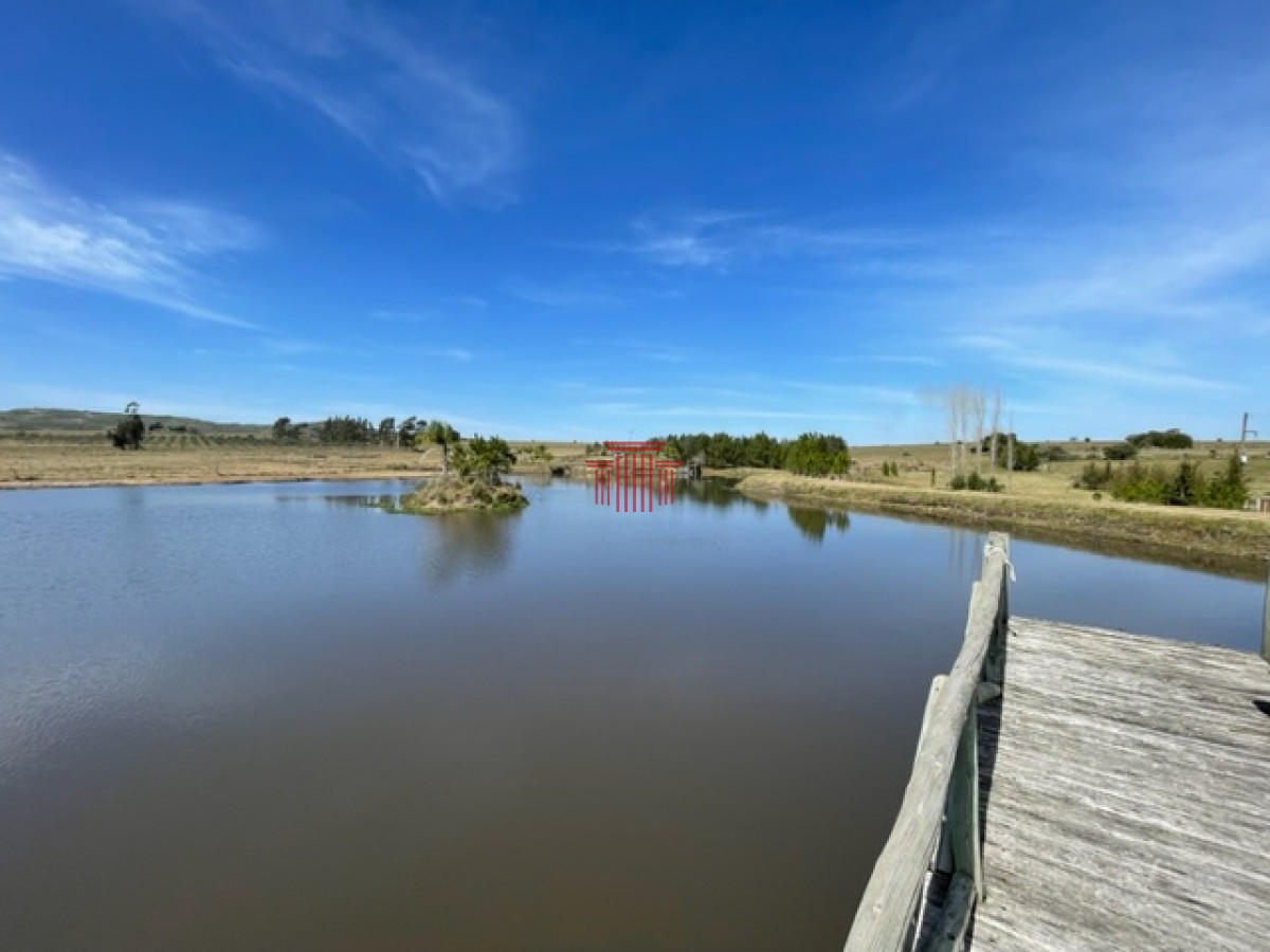 Chacra ID.13932 - Chacra en venta, Maldonado 