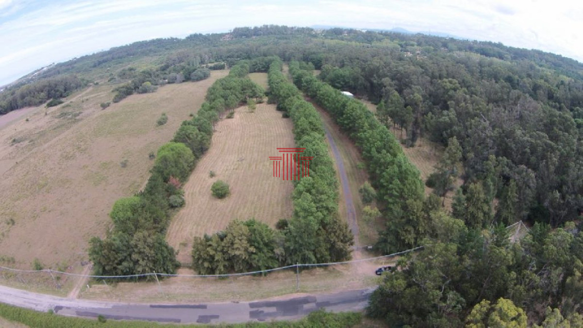 Chacra ID.13163 - Chacra en Punta Ballena. Ideal para desarrollo