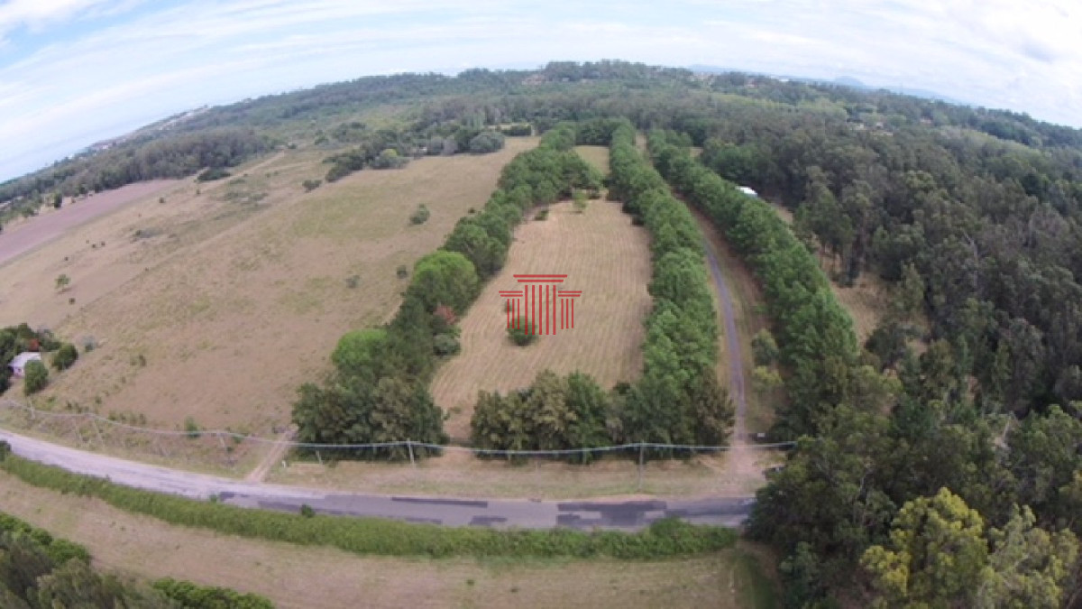 Chacra ID.13163 - Chacra en Punta Ballena. Ideal para desarrollo