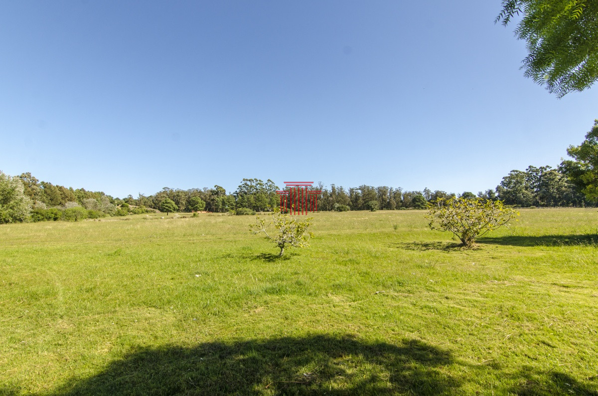 Chacra ID.12622 - venta chacra zona La Pataia punta del este 