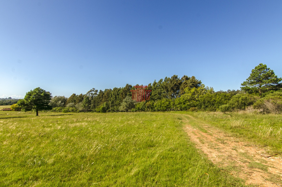 Chacra ID.12622 - venta chacra zona La Pataia punta del este 