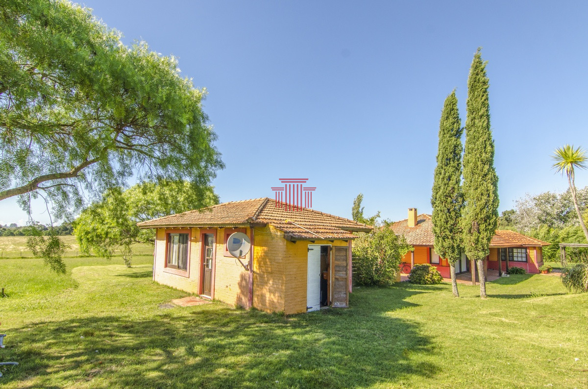 Chacra ID.12622 - venta chacra zona La Pataia punta del este 