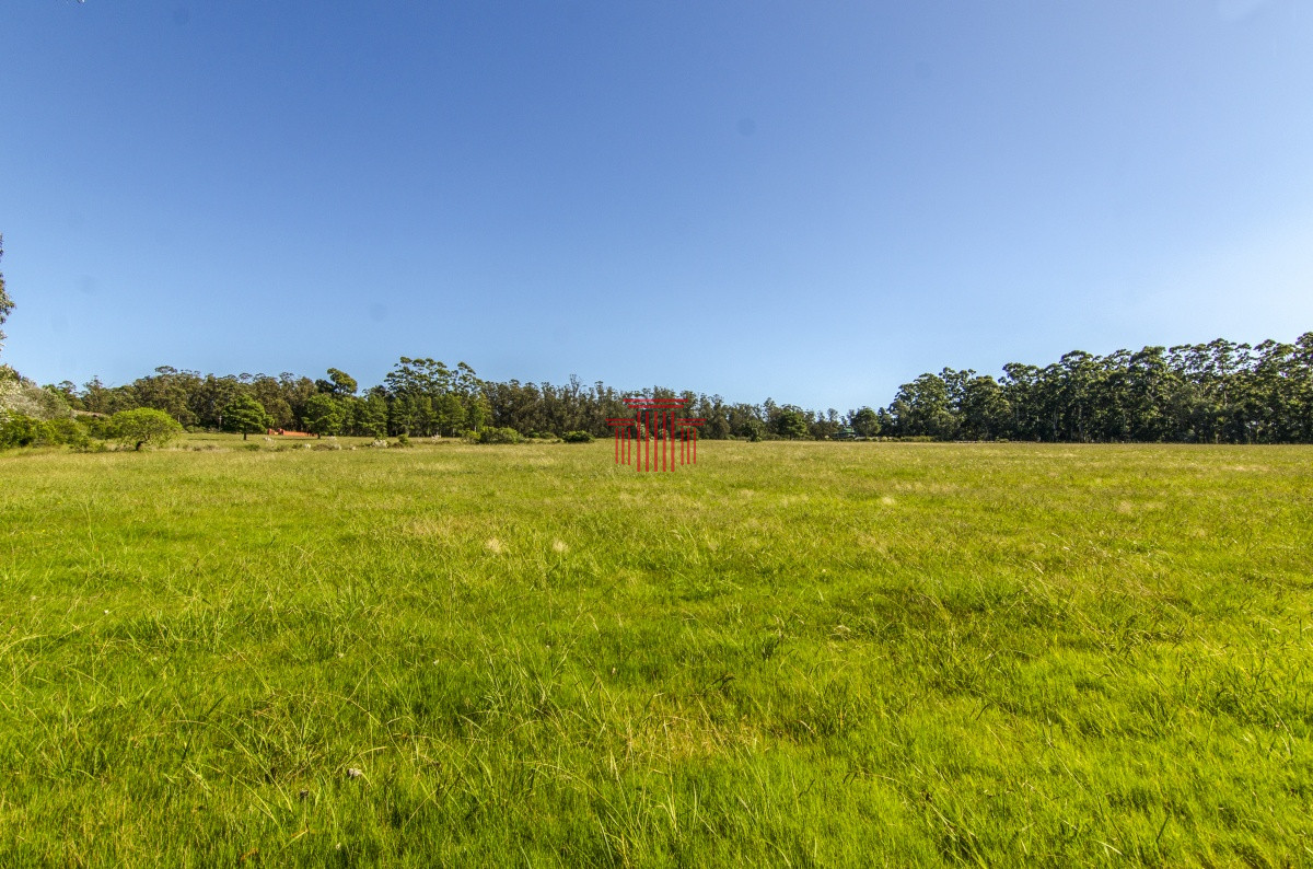 Chacra ID.12622 - venta chacra zona La Pataia punta del este 