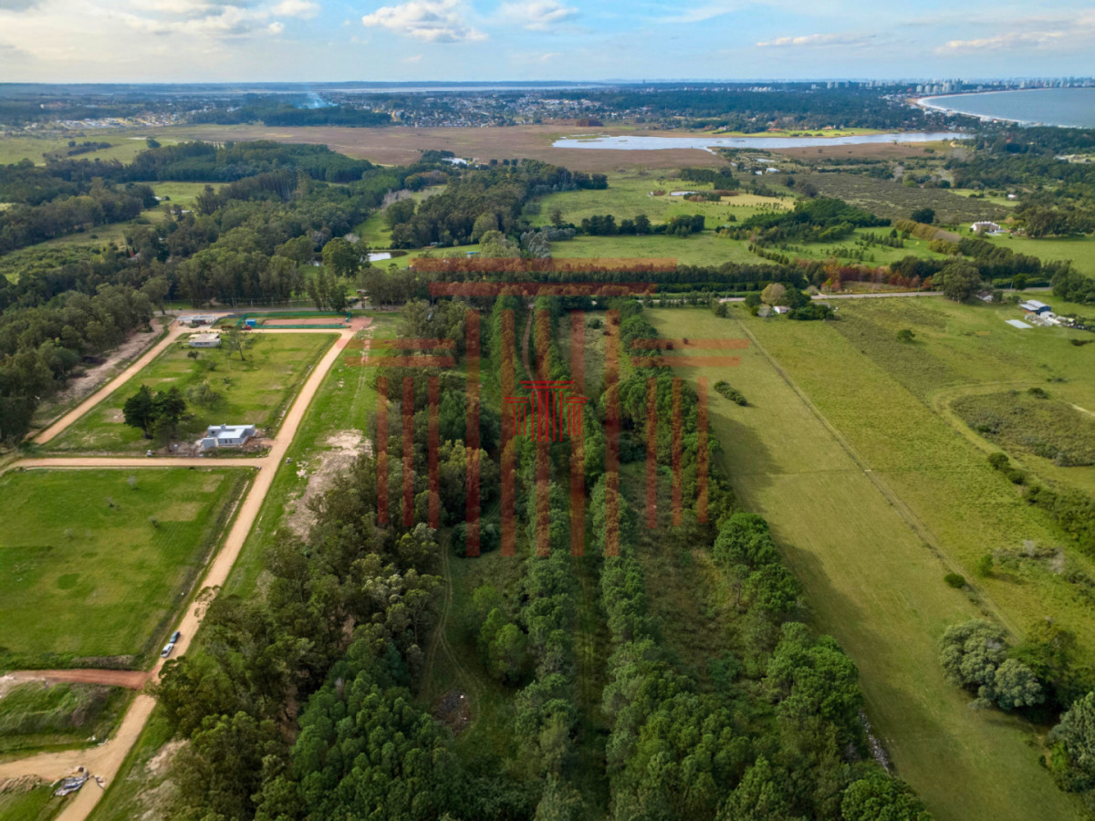 Apartamento ID.13163 - Chacra en Punta Ballena. Ideal para desarrollo