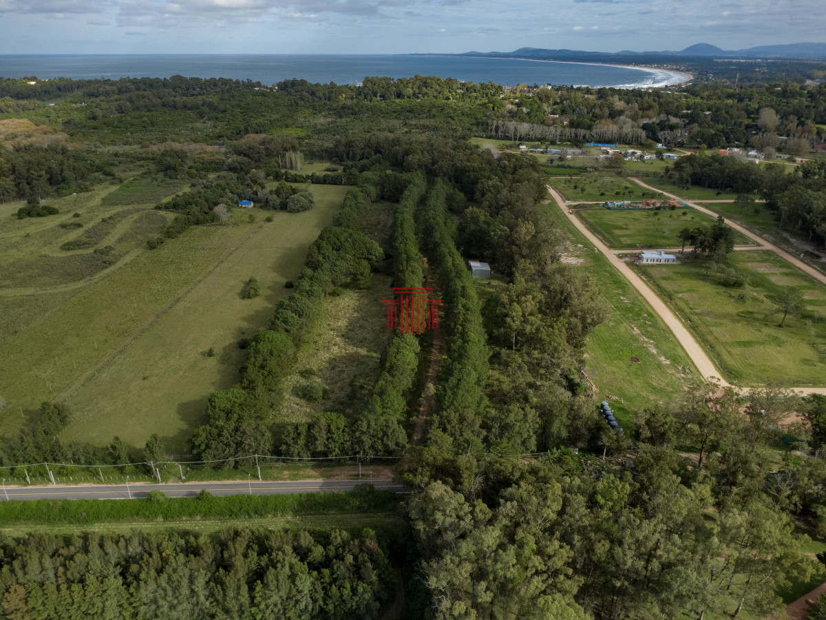 Chacra ID.13163 - Chacra en Punta Ballena. Ideal para desarrollo