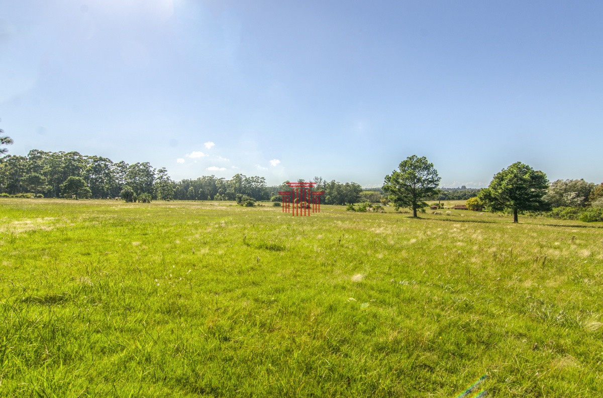 Chacra ID.12622 - venta chacra zona La Pataia punta del este 