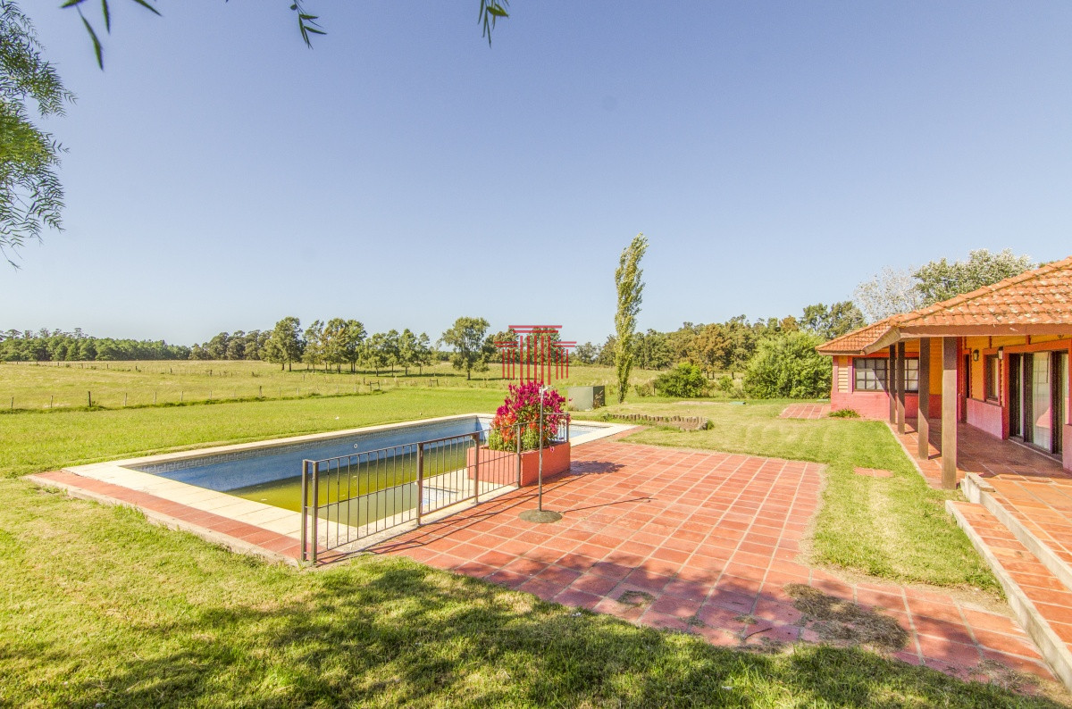 Chacra ID.12622 - venta chacra zona La Pataia punta del este 