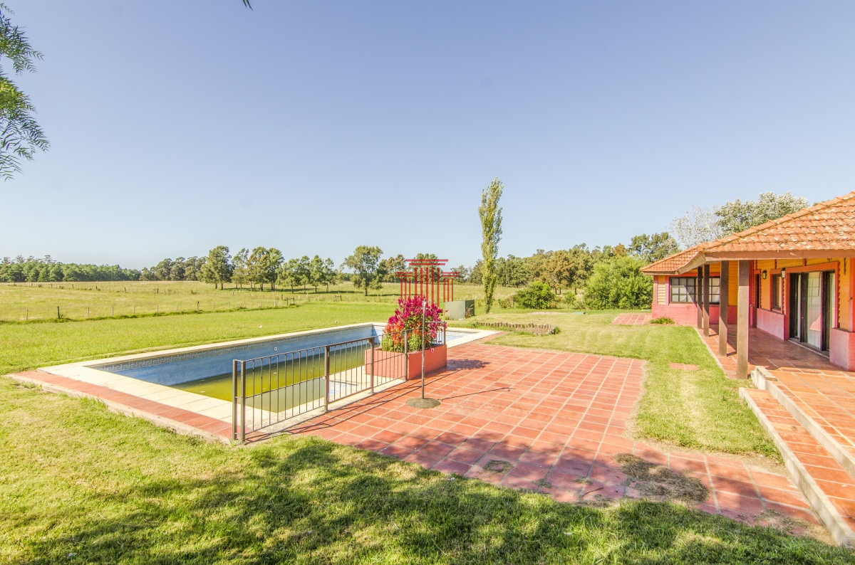 Chacra ID.12622 - venta chacra zona La Pataia punta del este 