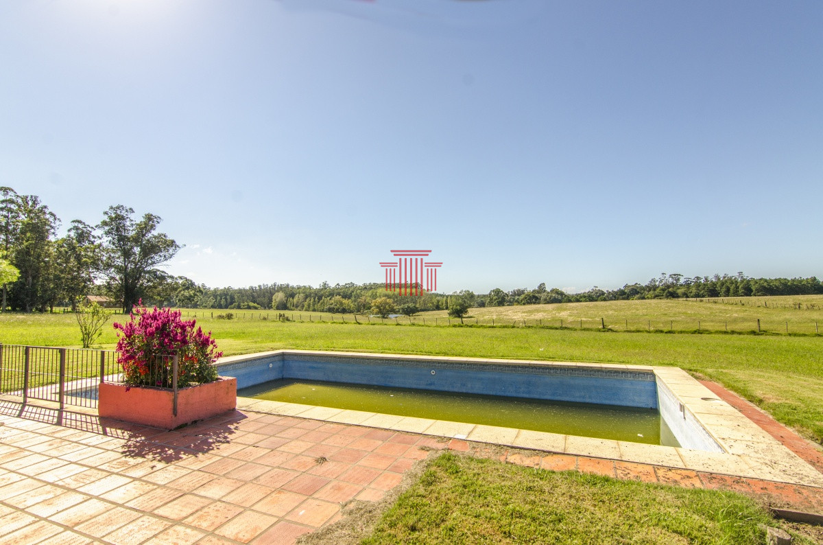 Chacra ID.12622 - venta chacra zona La Pataia punta del este 