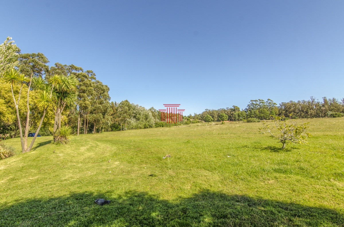 Chacra ID.12622 - venta chacra zona La Pataia punta del este 