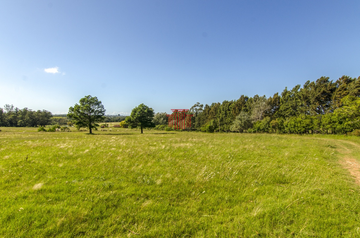 Chacra ID.12622 - venta chacra zona La Pataia punta del este 