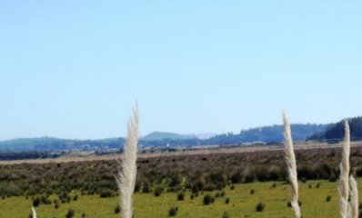 Chacra en La Barra