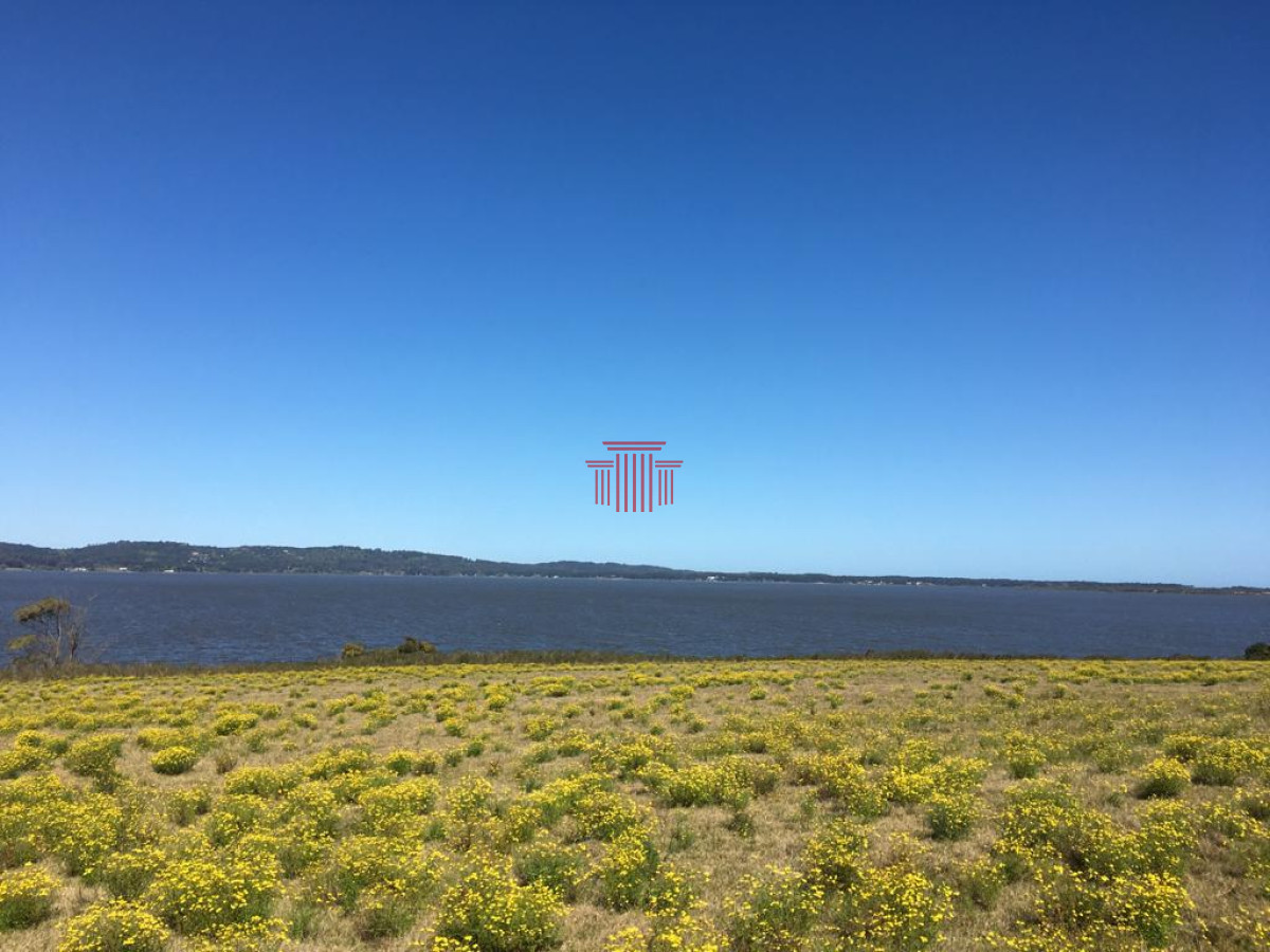 Campo Ref.13812 - Campo en , 