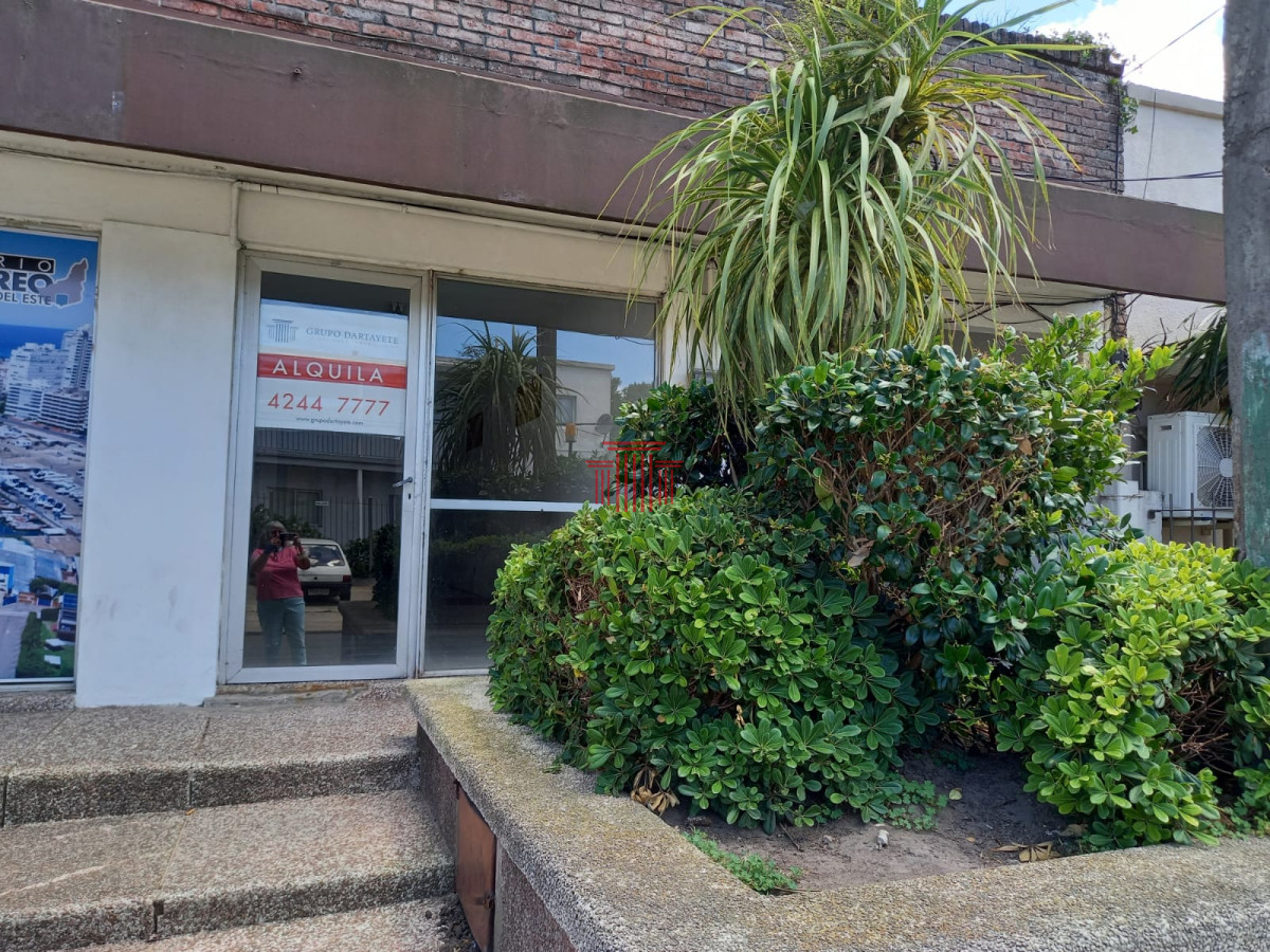 Local Comercial ID.12729 - Local en centro de Maldonado en alquiler