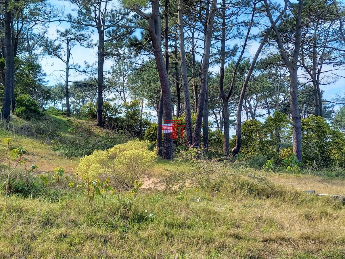 Apartamento ID.13188 - Terreno en venta, Punta del Este Uruguay
